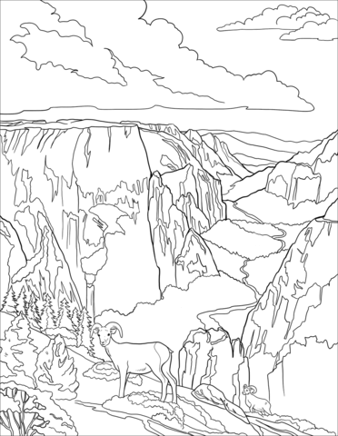 Desert Bighorn Sheeps In Zion Coloring Page